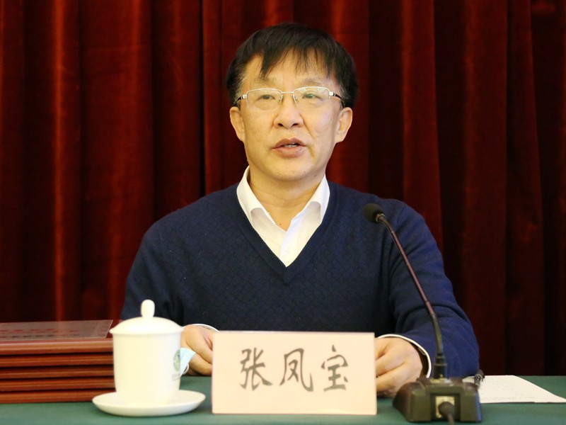 鳳寶傳達_網站.jpg